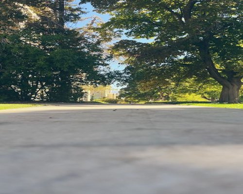 A calm walking path through a city park